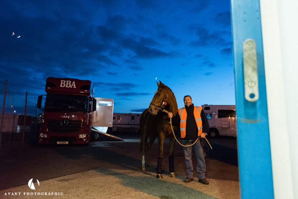 Phil Burrowes Commercial Photographer. Horses being loaded into flight boxes for Intradco